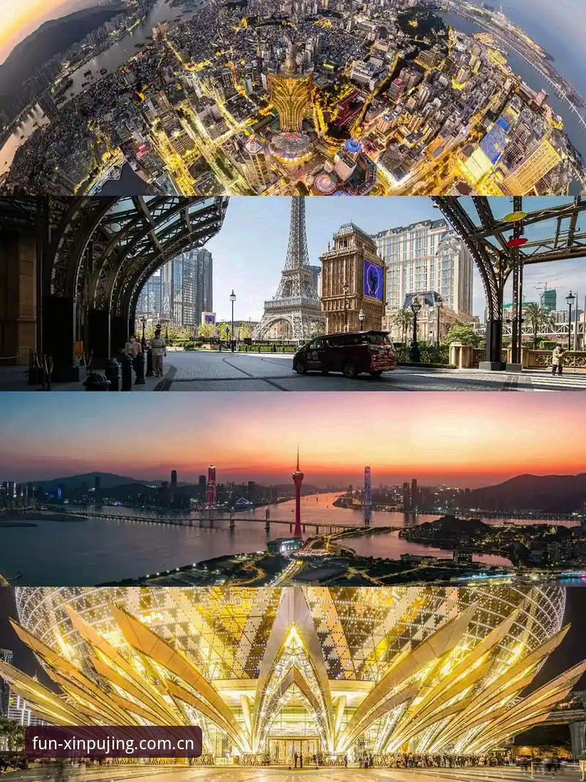 2026新莆京官网活动 如何通过2026新莆京官网活动提升娱乐体验?专业分析师揭秘三大关键策略